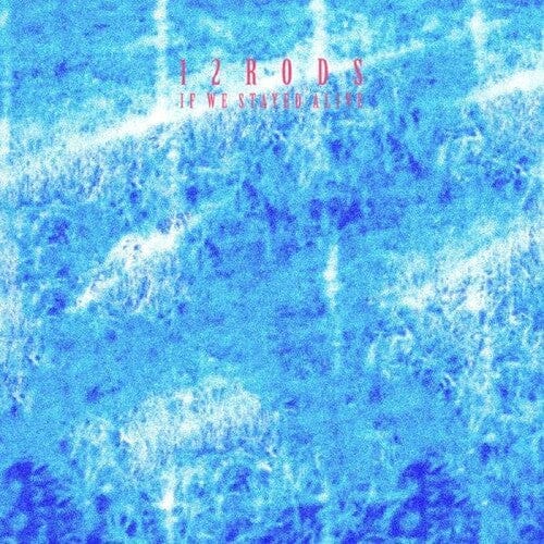 12 Rods - If We Stayed Alive (Colored Vinyl)