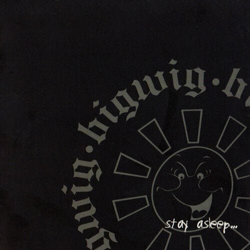 Bigwig - Stay Asleep